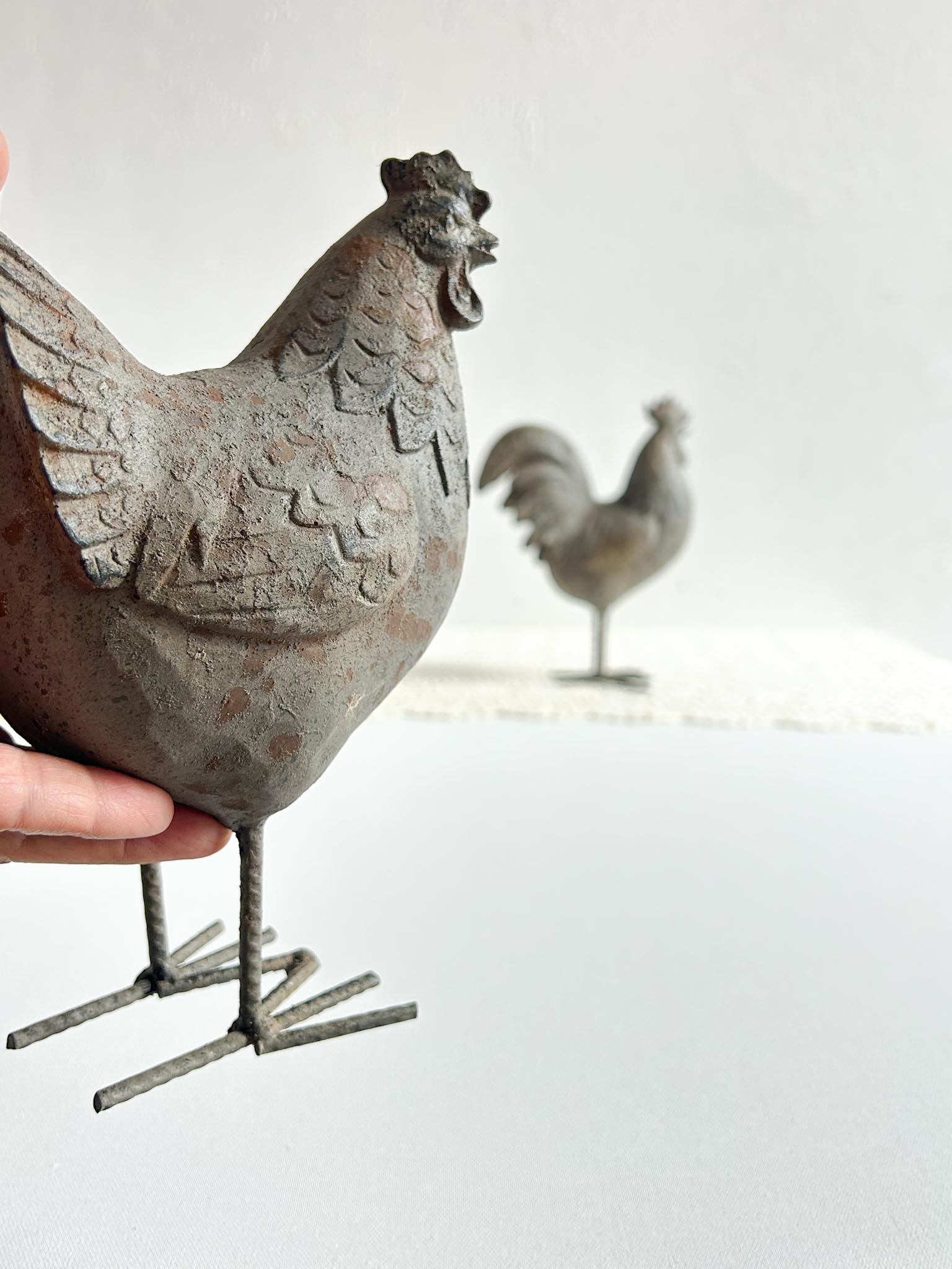 Gallina