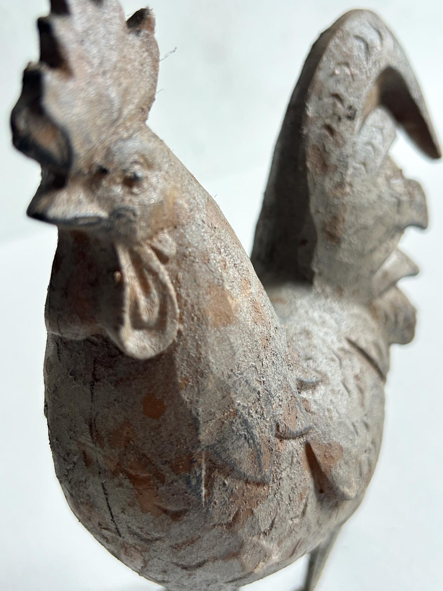 Gallo decorativo